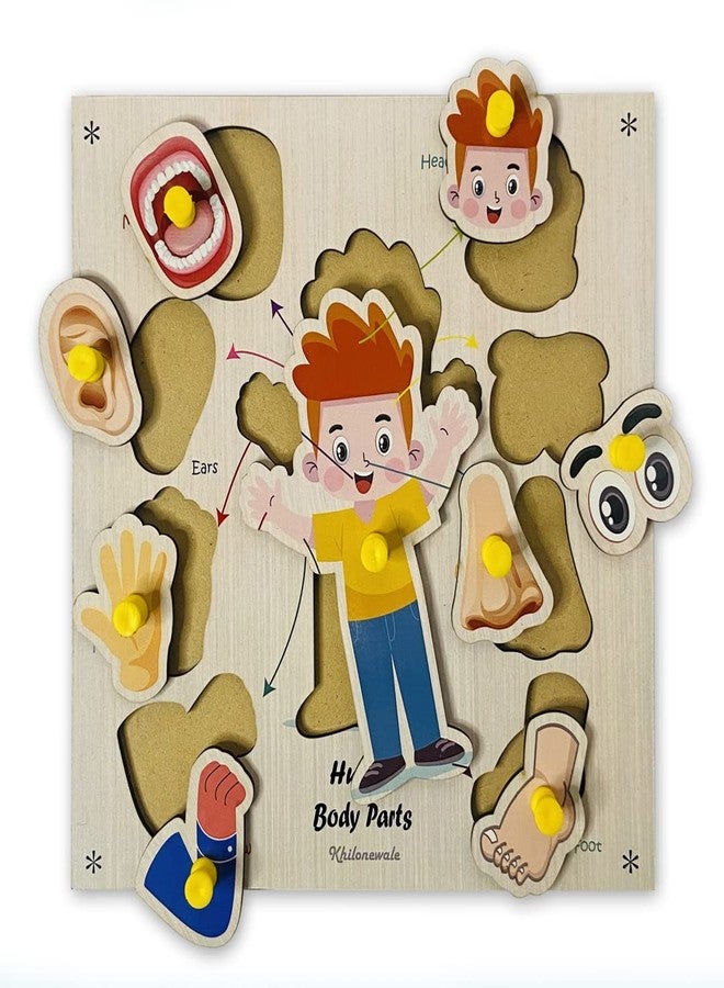 Khilonewale Combo of 6 Wooden Knob Puzzles for Toddlers - 20×30 cm Learning Boards for 3+ Years Kids Toys Boys, (Combo 4) - Image 5